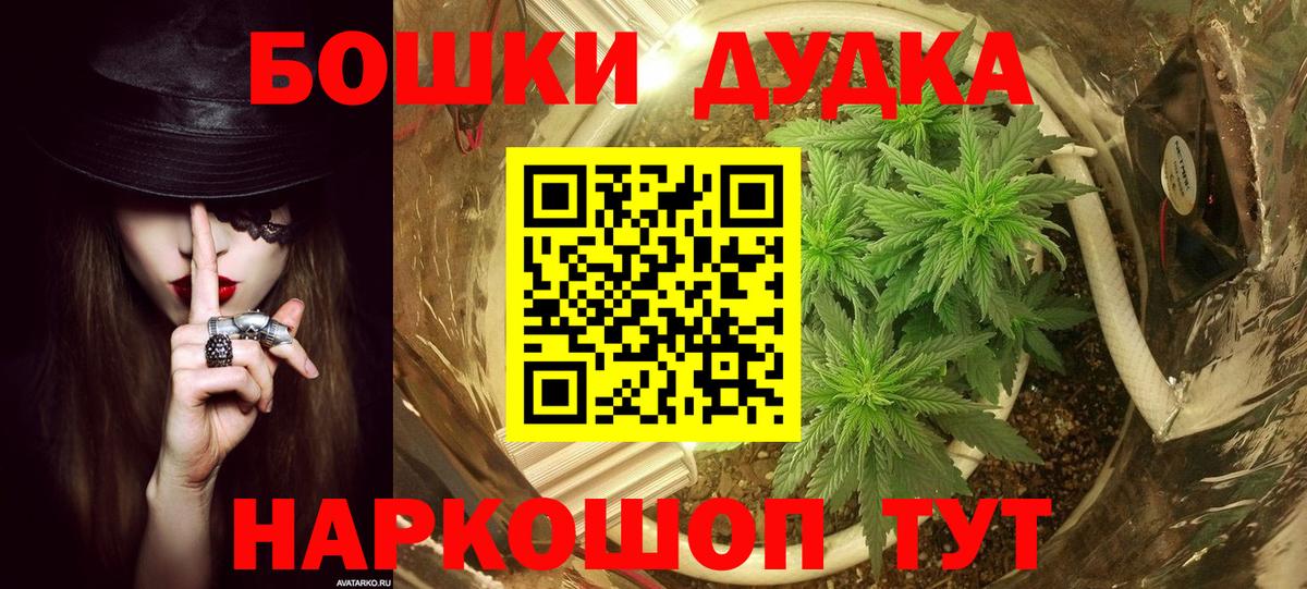 Бошки марихуана Bruce Banner Новотроицк